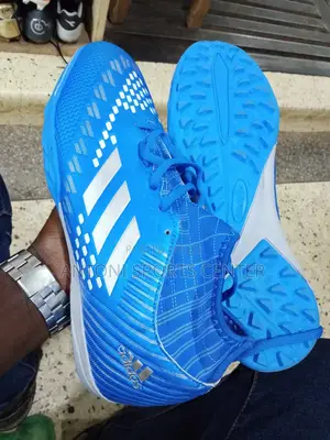 Fair Pray Adidas Blue Color