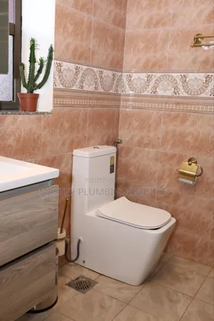 Toilet Installations
