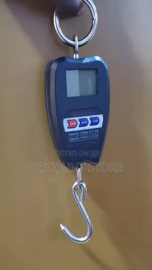Crane Portable Scale 100kg Portable Weighing Scale