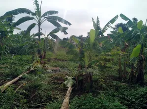 Bwaise Land for Sale