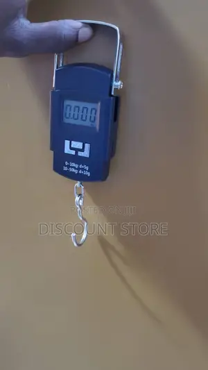 Luggage and Fishing Portable Weighing Scale.