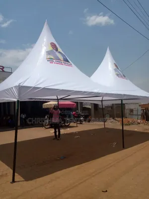 100seater Tent Canopy Without Flaps With Logo if Needed