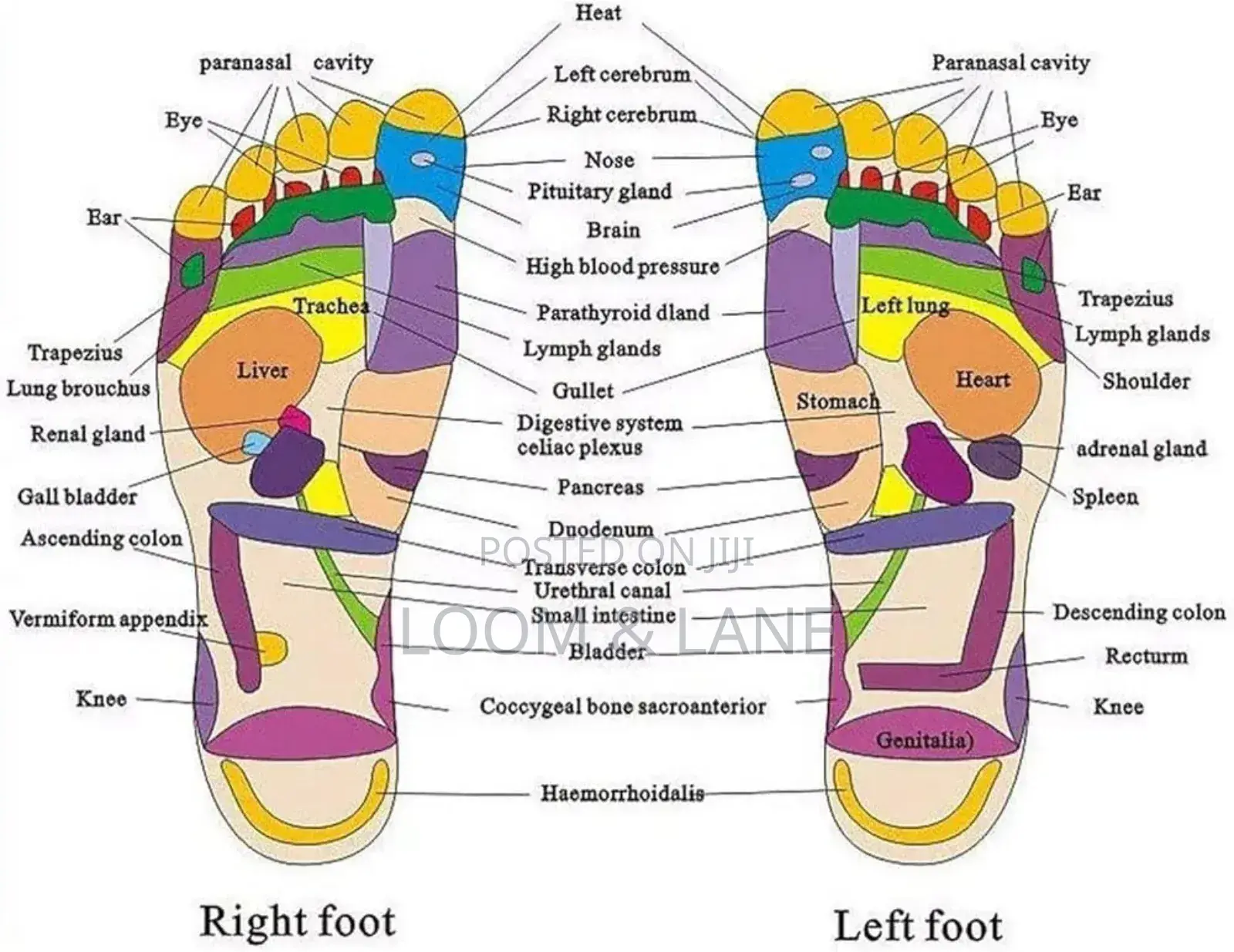 Yoga New Quality Foot Massager