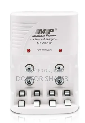 Multiple Power Standard Charger