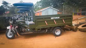 New Tricycle 2024 Green