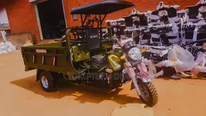 New Tricycle 2024 Green