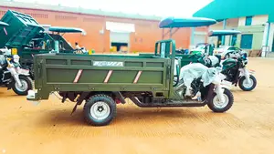 New Tricycle 2024 Green