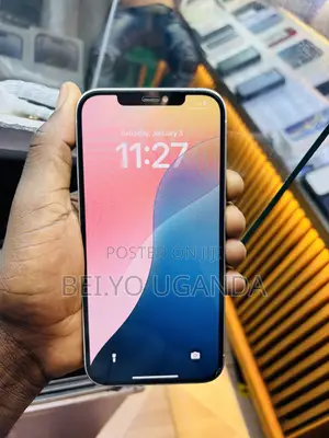 Apple iPhone 12 Pro Max 256 GB White
