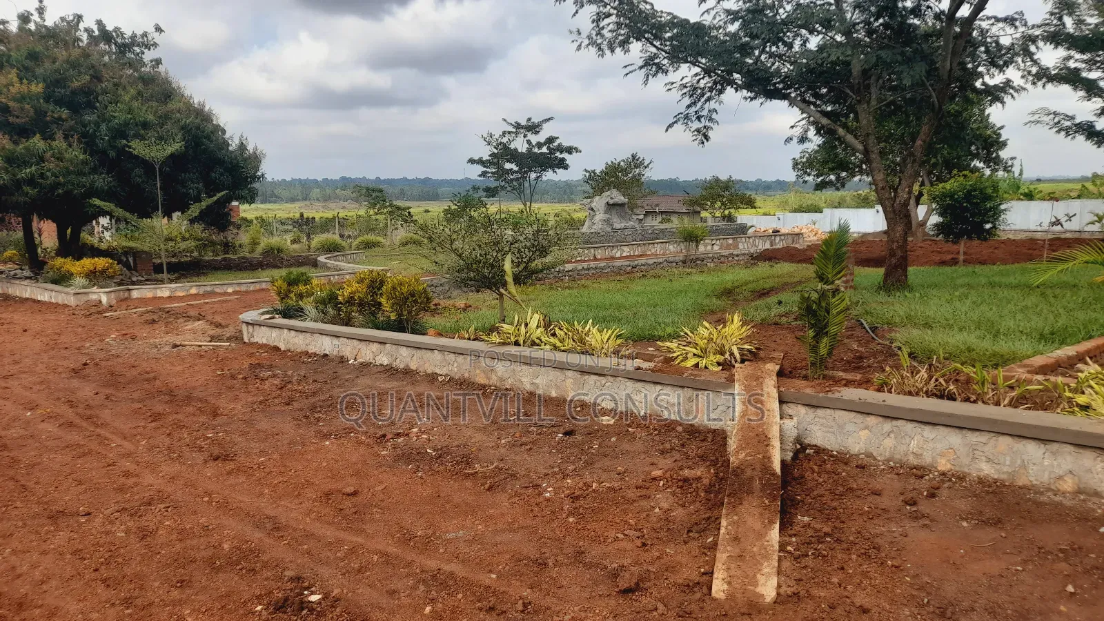 Modern Landscaping