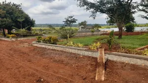 Modern Landscaping