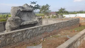 Modern Landscaping