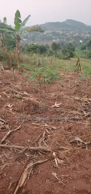 Corporate Land Nakawuka Hill Side