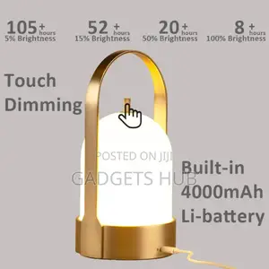 Portable Led Table Lamp for Indoor Decorative Lighting
