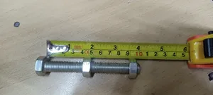 Bolt M12*100mm