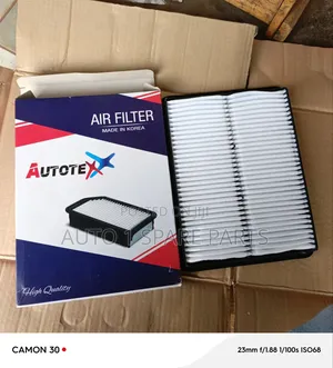 Air Cleaner for Hyundai Santa Fe and Kia Sorento