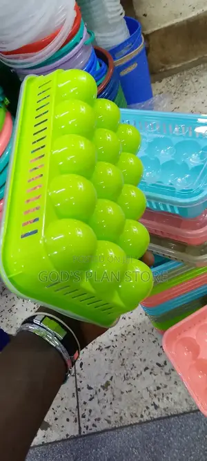 Plastic Eggs Trays With Cover