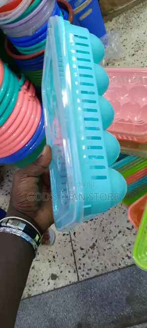 Plastic Eggs Trays With Cover
