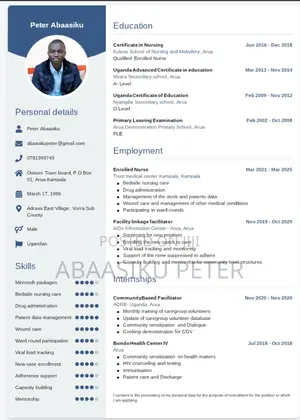 Healthcare Nursing Cv