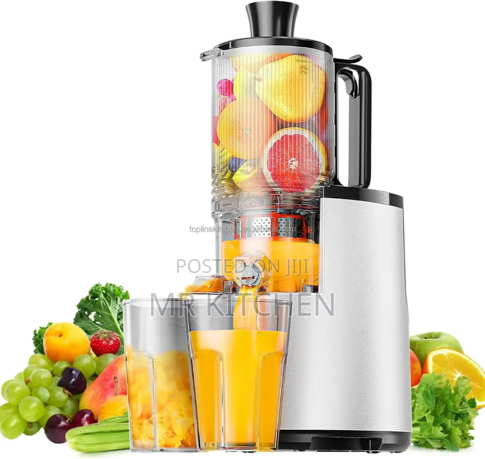 Cold Press Juicer Extractor