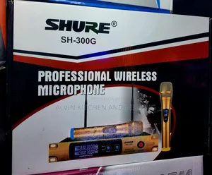 Professional Wireless Microphone