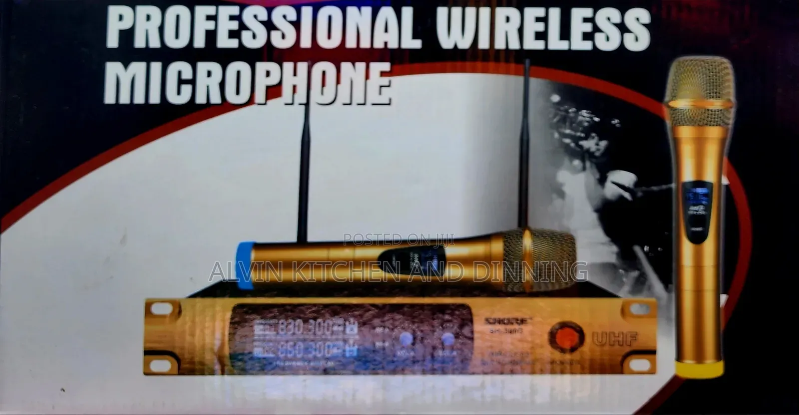 Professional Wireless Microphone