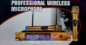 Professional Wireless Microphone
