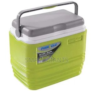 Lemon Green Ice Cooler Box
