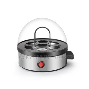 Electric Egg Boiler