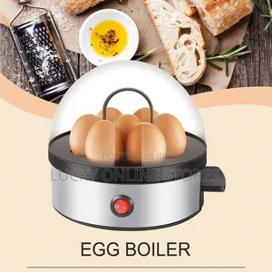 Electric Egg Boiler