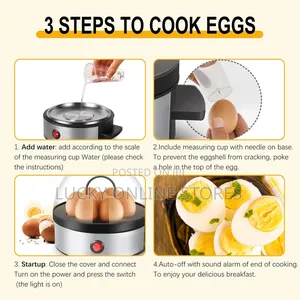 Electric Egg Boiler
