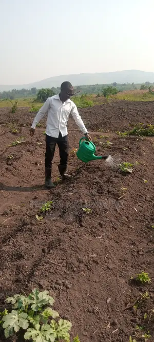 Agronomist