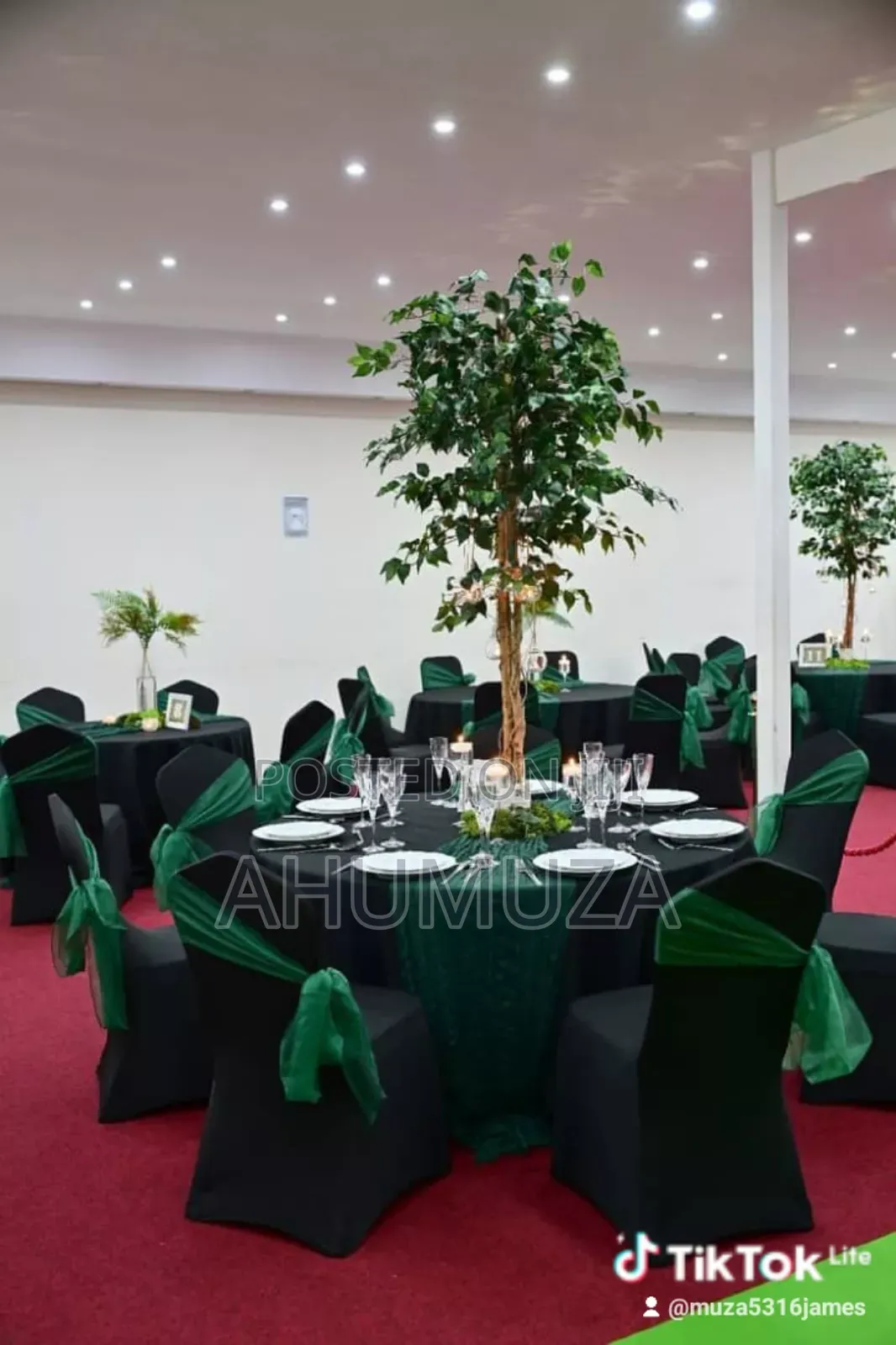 Table Setup and Chair Decoration