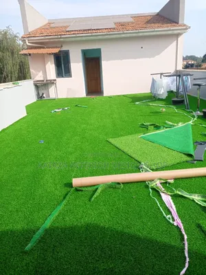 Indoor and Out Door Grass Carpet