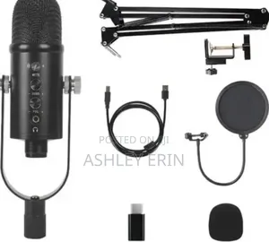 Usb Professional Microphone -Black