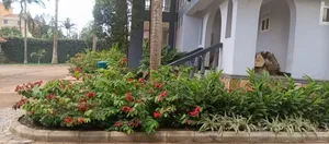 Compound Designing and Land Scaping Services That Delight