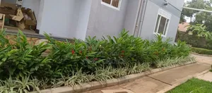 Compound Designing and Land Scaping Services That Delight