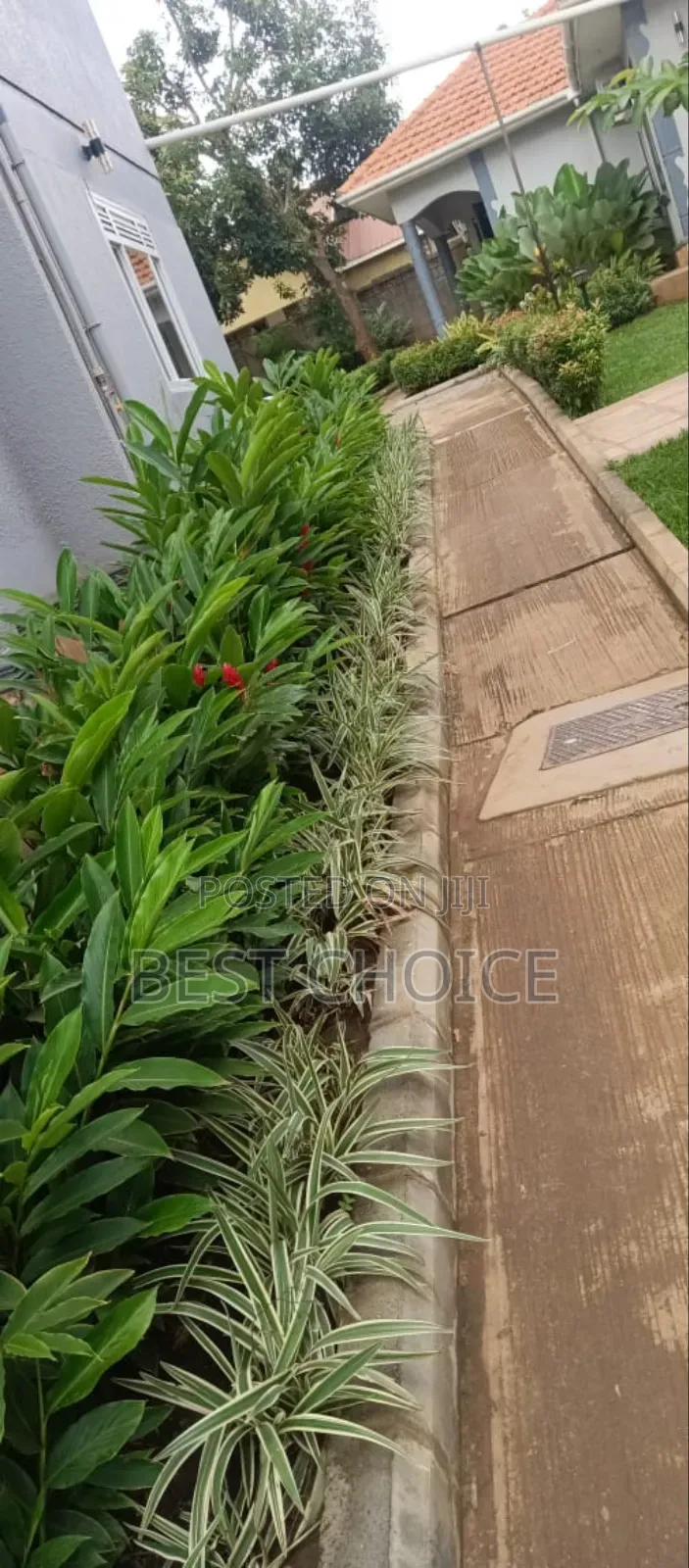Compound Designing and Land Scaping Services That Delight