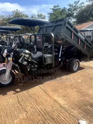 New Tricycle 2024 Green