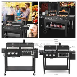 2 In 1 Commercial Luxury Gas Grill