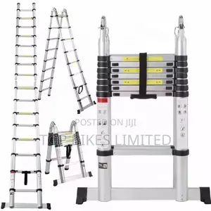 Aluminum Adjustable Ladder