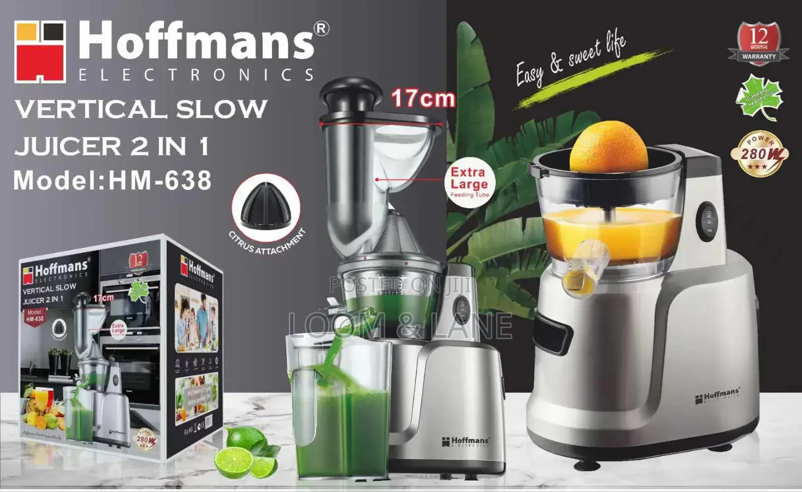 Hoffmans 2 in 1 Vertical Slow Juicer