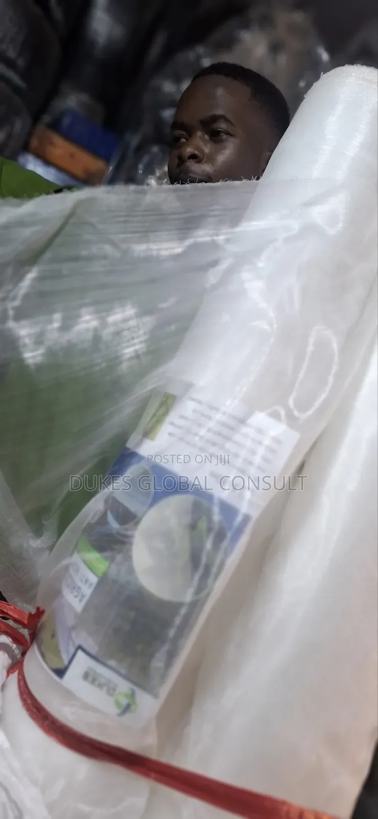 Insect Net