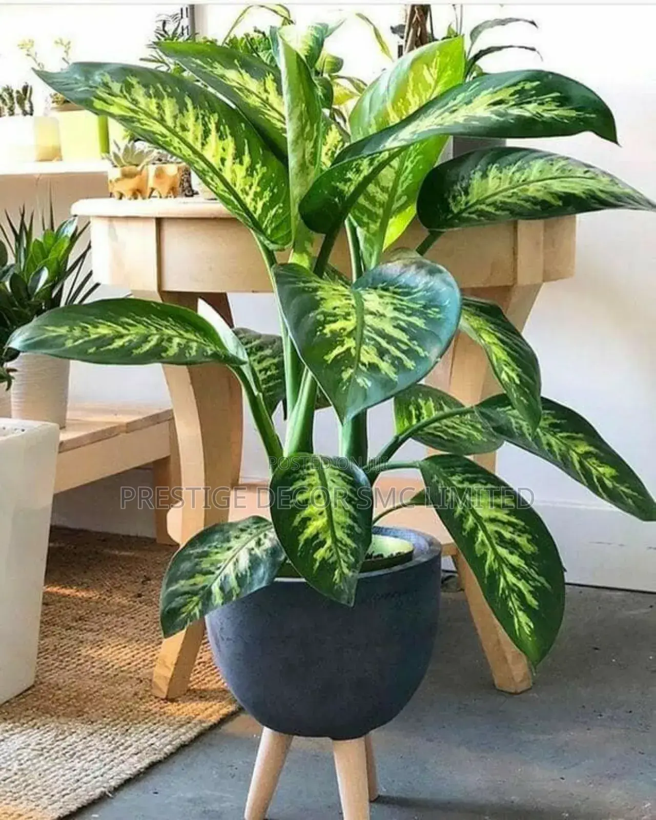 Right Hot Plants