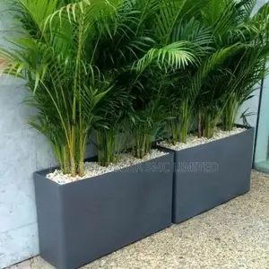 Modern Compound Plants