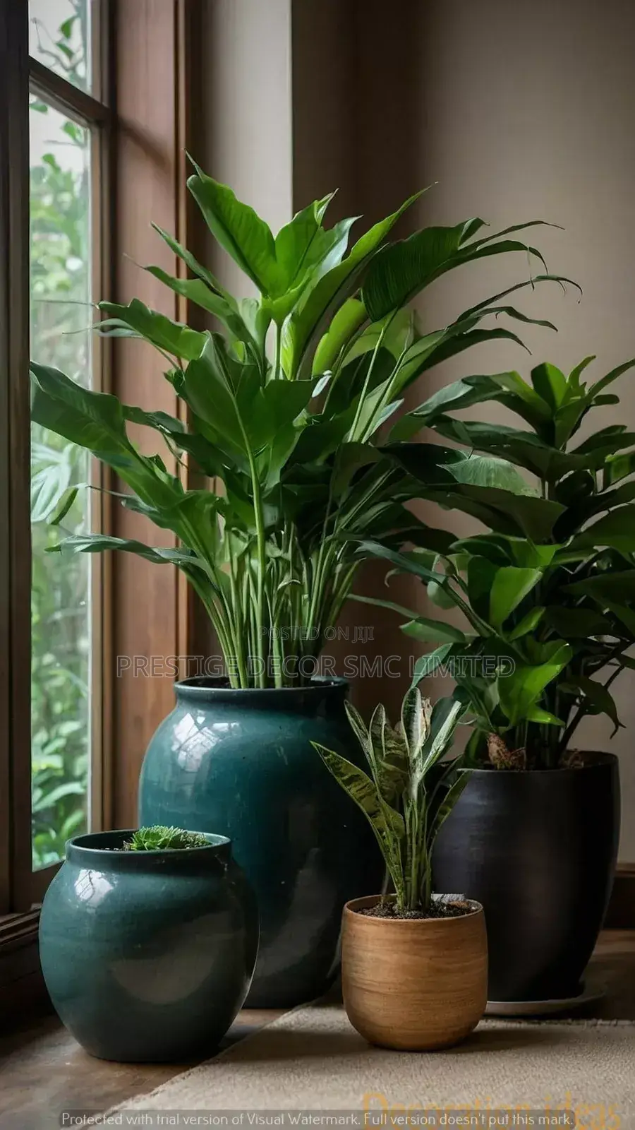 Modern Compound Plants