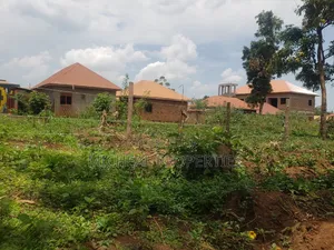 Plot for Sell Mpelerwe Kitezi