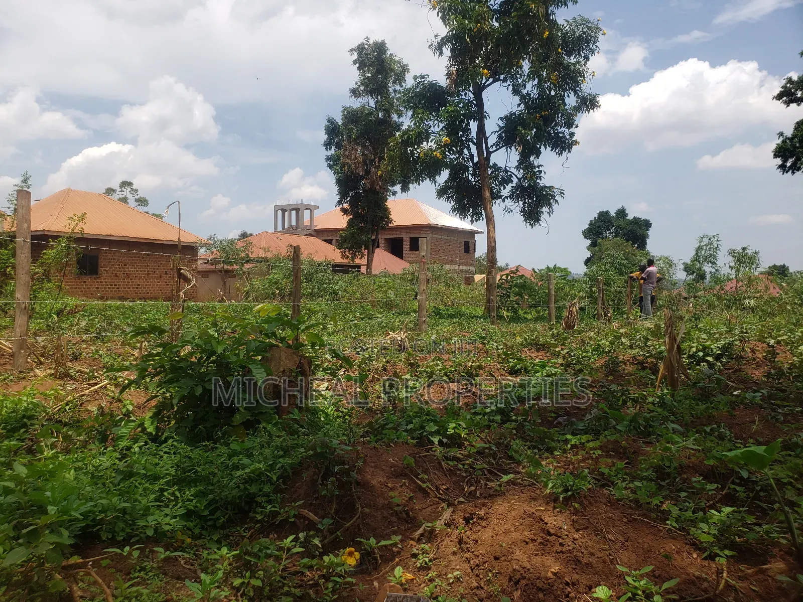 Plot for Sell Mpelerwe Kitezi
