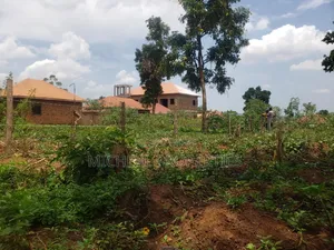 Plot for Sell Mpelerwe Kitezi