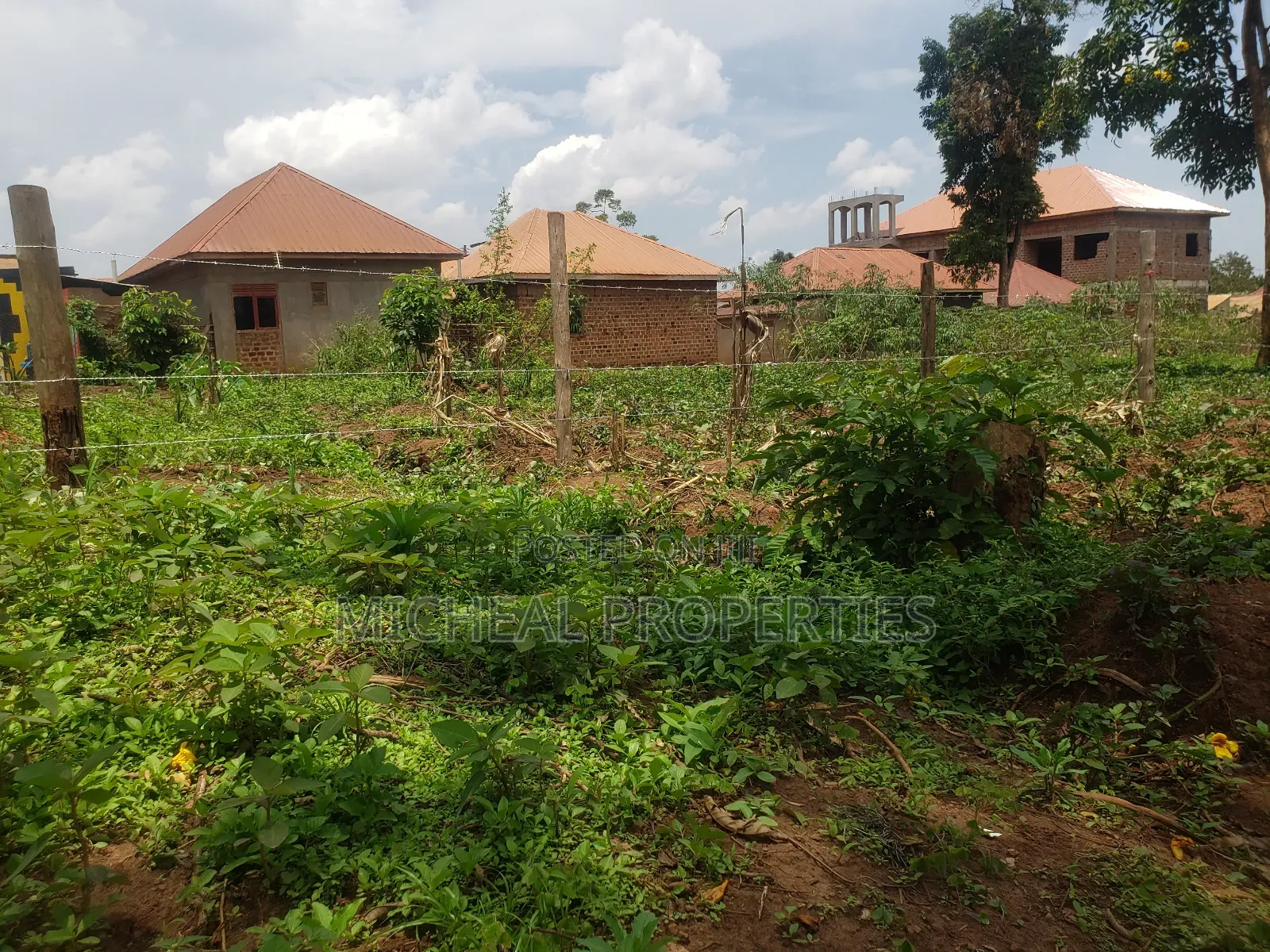 Plot for Sell Mpelerwe Kitezi