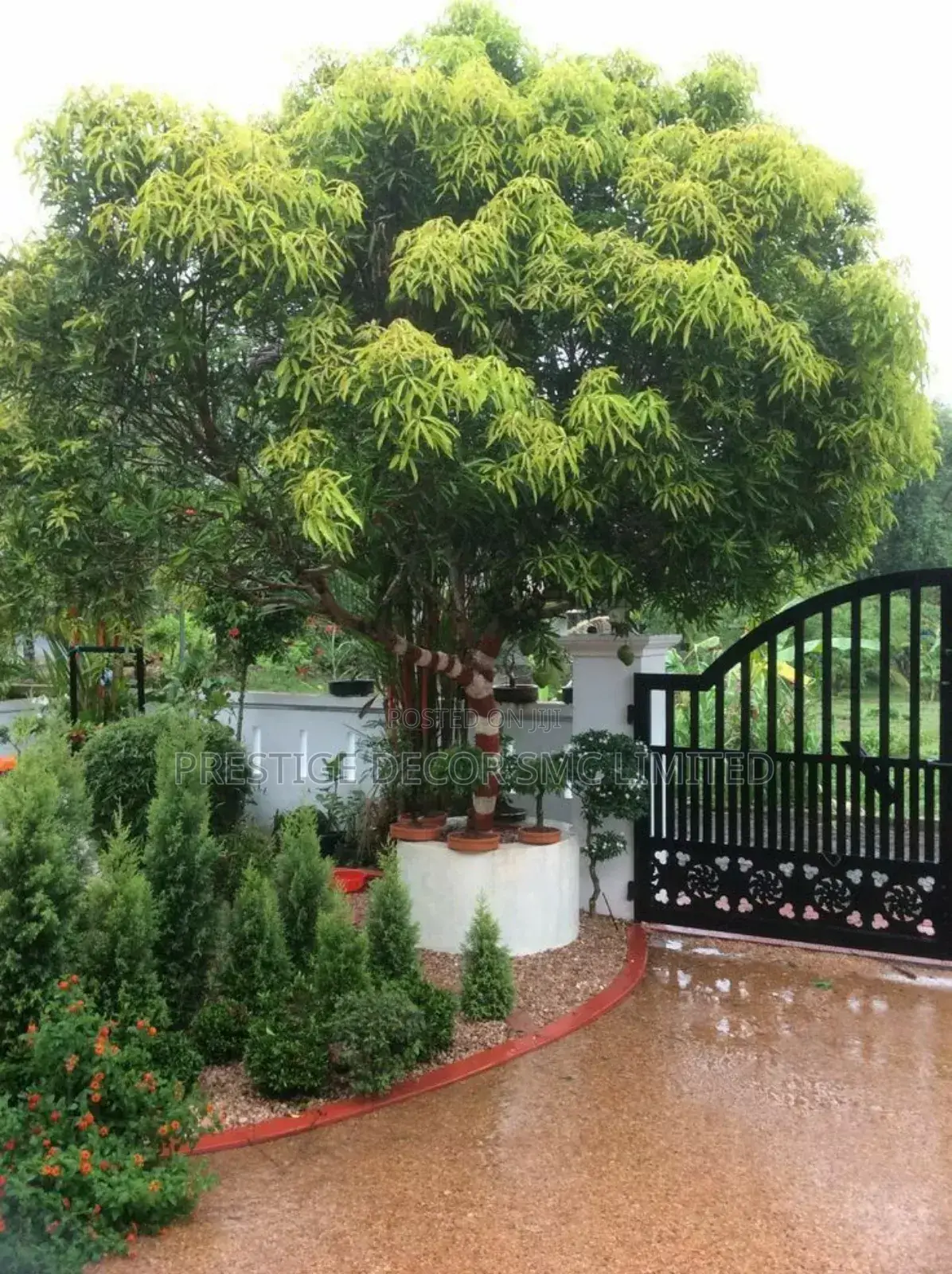 Majestic Compound Design Fantastic